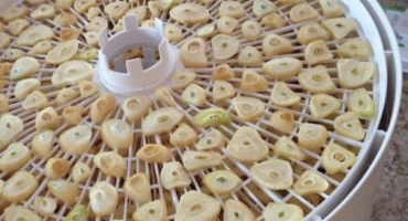 Lahodné recepty na výrobu česneku na zimu a pravidla skladování